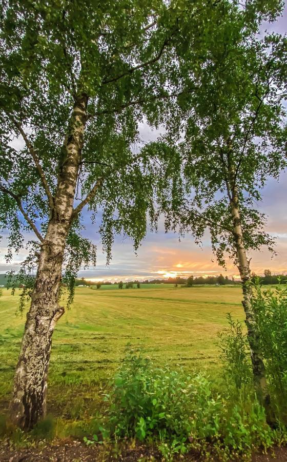 Kartano Kievari Äänekoski Esterno foto